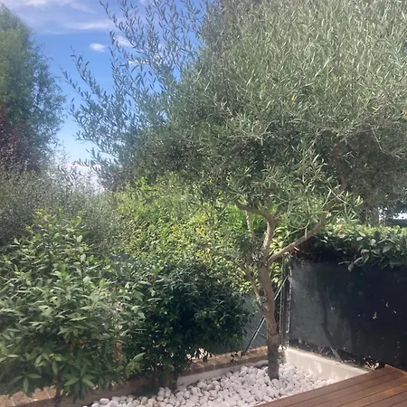 Casa Bel Respiro Roncofreddo