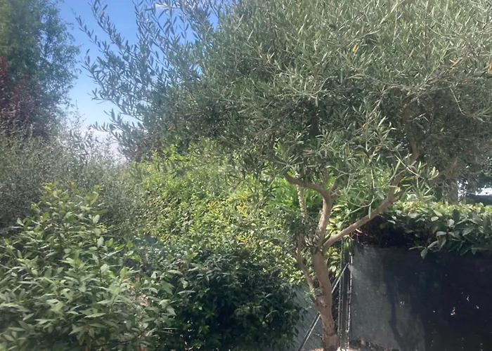 Casa Bel Respiro Roncofreddo